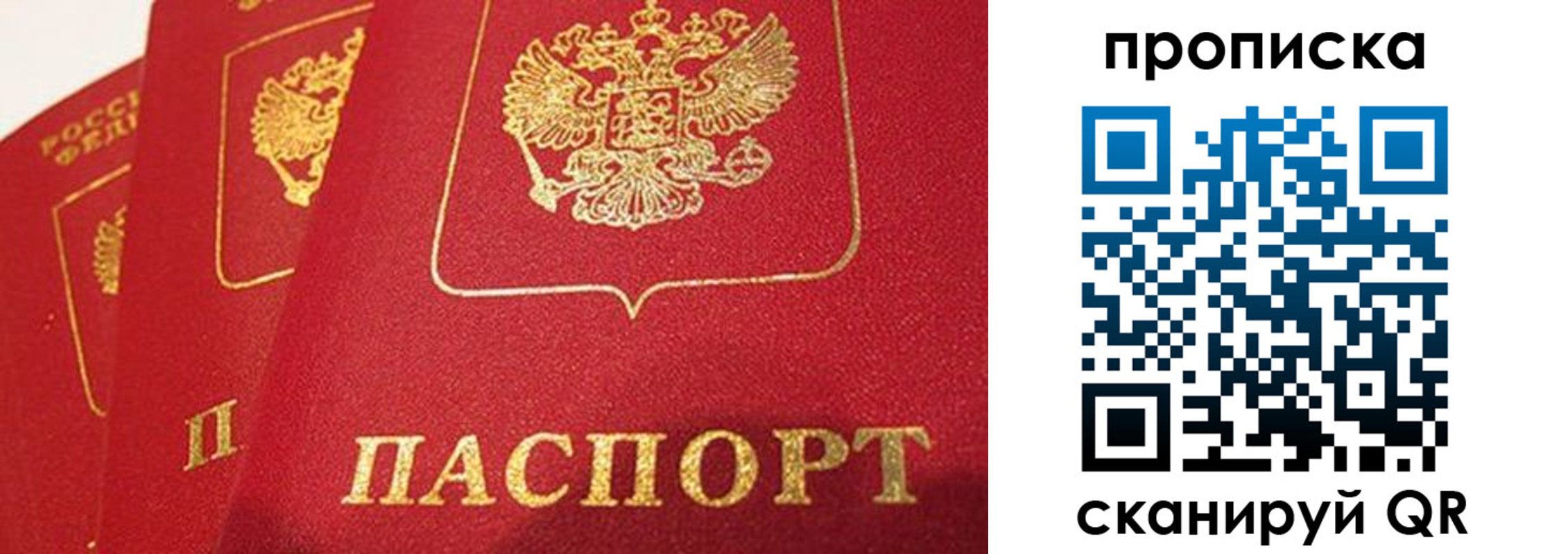 прописка паспорт в Стародубе